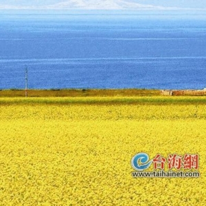 �Լݴ��� ��������