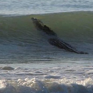 4�׳������Գ��� �Ĵ����ǿ�������̲���ȹر�