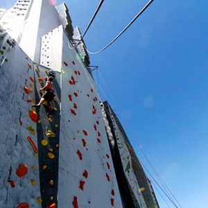 ��������ľƵ꣺���Ƶ�50�׸�ǽ�ڱ�����ǽ