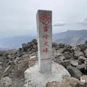 ��Ѯ������һͽ�����е�һ�߷塰ѩ���塱��ʧ�������������ҵ�